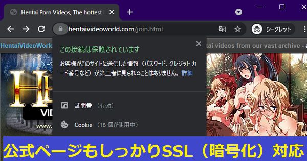 Hentai Video Worldの公式ページはしっかりSSL（暗号）化対応済み