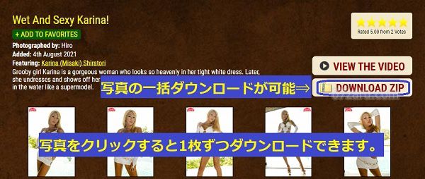 TGirlJapanの会員ページ内の【DOWNLOAD ZIP】をクリックすれば、写真集をダウンロードできる